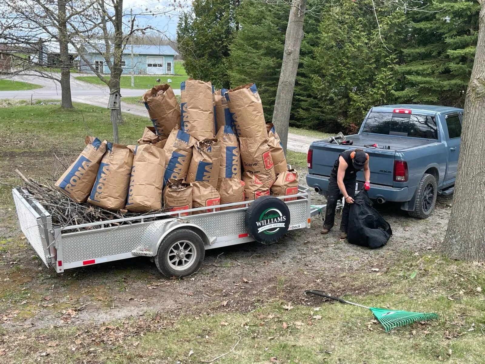Spring & Fall Cleanups
