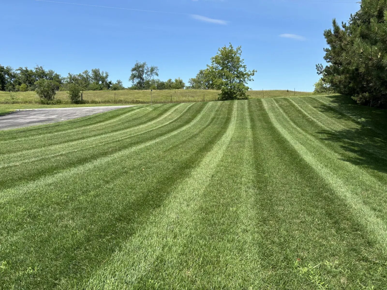 Beautifully striped lush green lawn